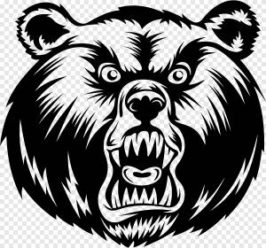 Бурый медведь Гигантская панда Медведь гризли, медведь, млекопитающее, животные png