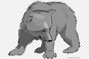 Белый медведь, медвежонок, рисунок, голова, дикая природа, черно-белое изображение, Морда, хвост, мультфильм, нести, медвежонок png