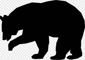 Американский черный медведь Гризли Рисунок, медведь, млекопитающее, животные, хищник png