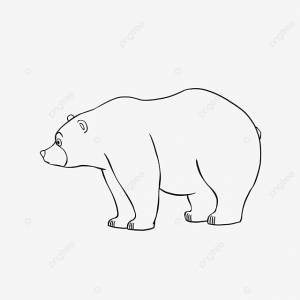 рисунок медведь клипарт черно белый PNG , рисунок медведя, рисунок губ, рисунок уха PNG картинки и пнг PSD рисунок для й загрузки