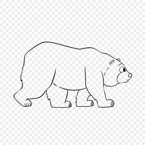 черно белый медведь черно белый PNG , медведь черный  белый, Черное и белое, отслеживание PNG картинки и пнг PSD рисунок для й загрузки