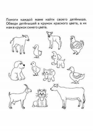 Раскраски Домашние животные и их детеныши для детей 3 4 лет