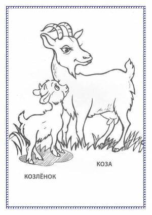 Раскраски «Домашние животные и их детёныши»