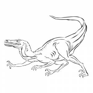 Раскраска Велоцираптор на охоте