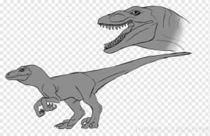 Velociraptor Tyrannosaurus Рисунок динозавра, динозавр, шаблон, резюме, тиранозавр png