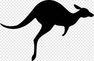 Австралия Macropodidae Kangaroo Компьютерные иконки Wallaby, кенгуру, млекопитающее, животные, фауна png