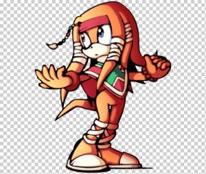 Tikal Tails Sonic Runners Костяшки ехидны Эми Роуз, другие, еда, sonic Ёжик, рука png