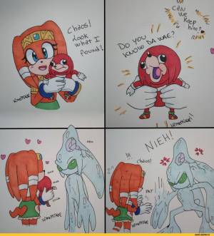 Tikal the echidna