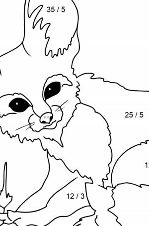 Раскраска фенек