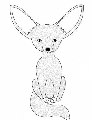 Fennec fox книжка-раскраска вектор для взрослых