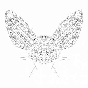 Раскраска антистресс для взрослых фенек