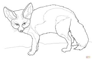 Раскраска Фенек