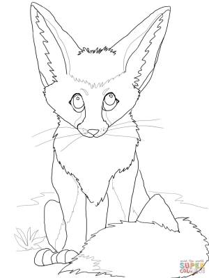 Раскраска Милый фенек