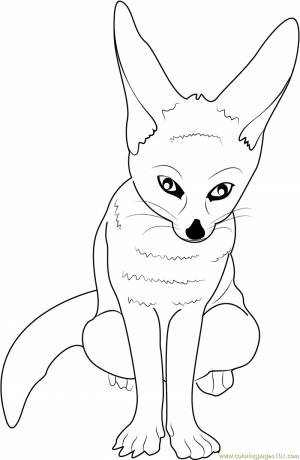 DataLife Engine > Версия для печати > Фенек раскраска