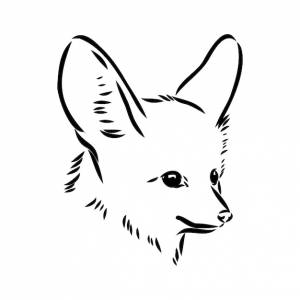 иллюстрация молодой лисы фенек, идущей лисы фенек векторный эскиз