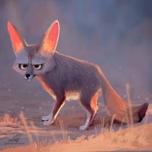Фото Забавный лис фенек, by Sam Nassour