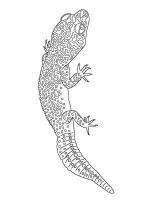 Раскраски Геккон