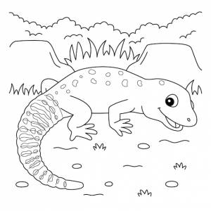 Раскраска леопардовый геккон для детей