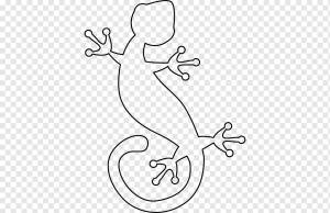 Ящерица Геккон Рисование синеязычный сцинк, ящерица, угол, белый, животные png