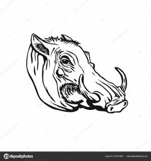 Ретро Деревянная Иллюстрация Головы Обыкновенного Бородавочника Phacochoerus Africanus Дикого Члена Векторное изображение ©patrimonio 401615698