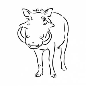 Черно-белый векторный рисунок бородавочника