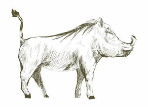 Стиль рисунка рисунка свиньи