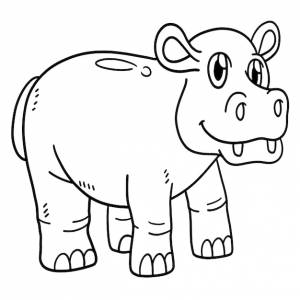 раскраски бегемотов