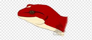 Обыкновенный леопардовый геккон Рисование ящерица, леопардовый геккон, png