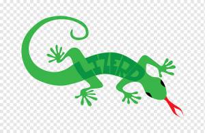 Ящерица геккон, ящерица, животные, позвоночные, трава png