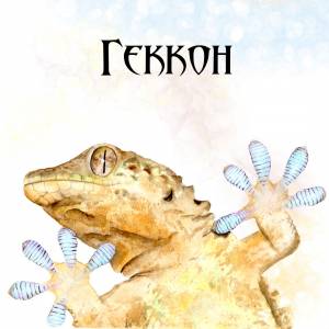 Иллюстрация Геккон