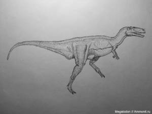 Giganotosaurus carolinii