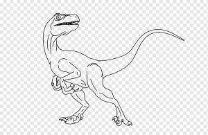 ARK