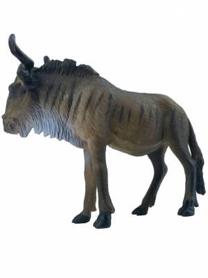 Фото антилопа