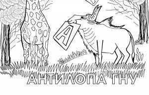 картинки животных Африки