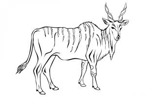 Painting of gnu antelope in the field coloring page