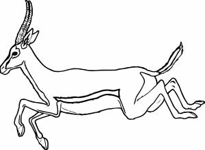 Раскраска антилопа