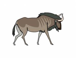 Африканская антилопа гну