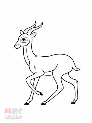 Раскраска Антилопа Гну