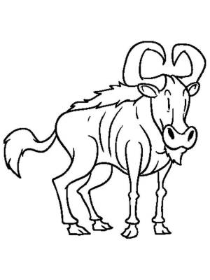 Раскраски Антилопа Гну