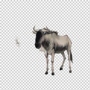 антилопа гну, гну, животное, клипарт гну png