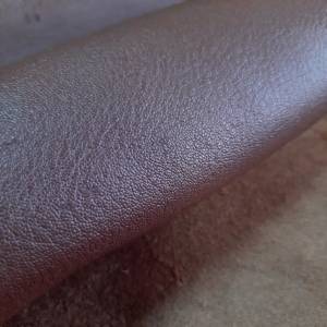 Кожа африканской антилопы Гну