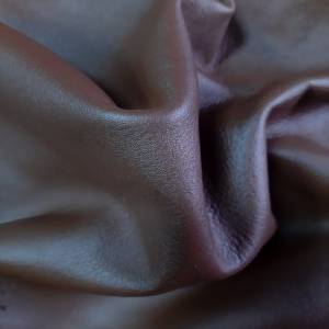 Кожа африканской антилопы Гну