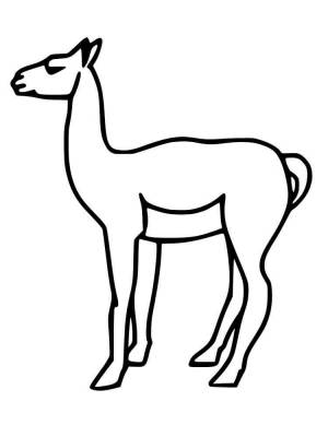 Раскраски Гуанако