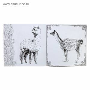 Ламы