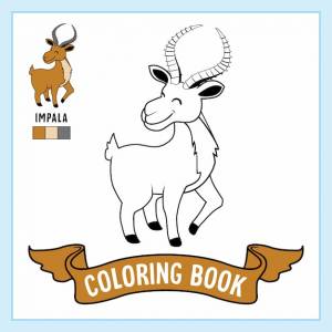 Раскраски импала животные