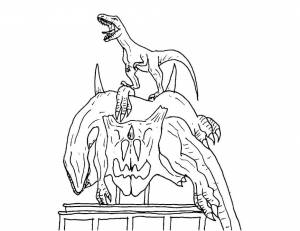 Раскраска Мир Юрского Периода