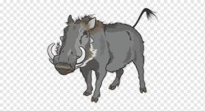 Кабан Обыкновенный бородавочник, кабан, лошадь, млекопитающее, другие png