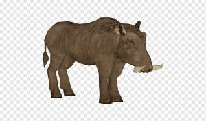 Индийский слон обыкновенный бородавочник Африканский слон пустынный бородавочник Животное, бородавочник, млекопитающее, другие, фауна png