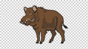 обыкновенный бородавочник png