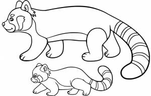 Раскраска Красная панда 9